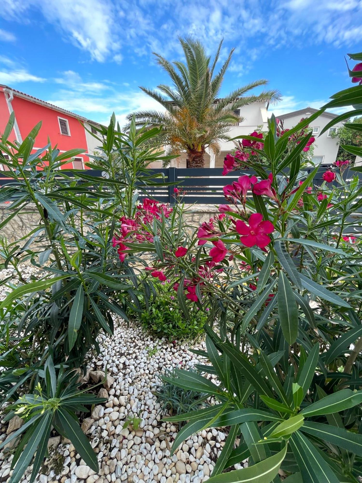 Apartmenthouse Ines Vir Dış mekan fotoğraf